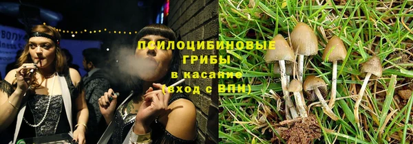 a pvp Болотное