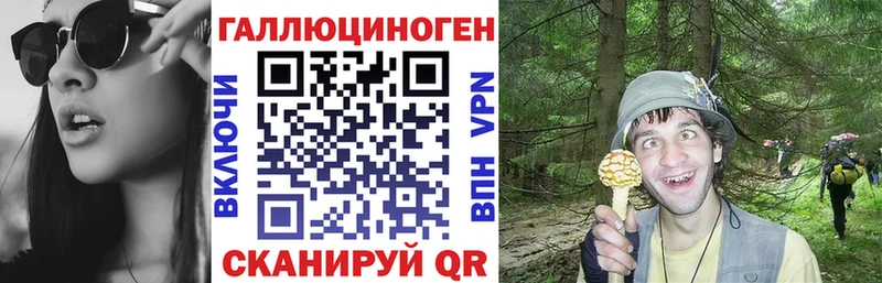 Псилоцибиновые грибы Psilocybine cubensis  МЕГА онион  Спас-Клепики  где купить  